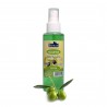 BDRM Bodrum Yalıçiftlik Zeytin Kolonyası 100ml